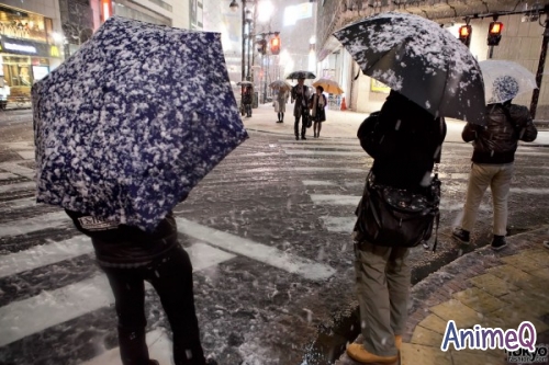 В Токио выпал снег впервые за 4 года.