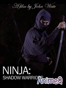 Ниндзя: Войны-тени / Ninja: Shadow warriors (RUS)