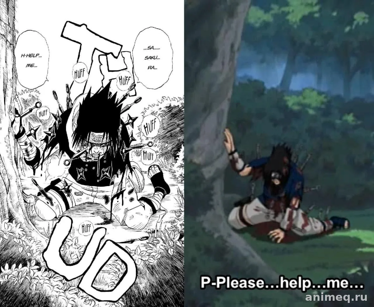 Что такое манга и чем она отличается от аниме